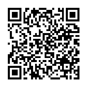 Lien vers votre campagne QRCode - Collecte de fonds