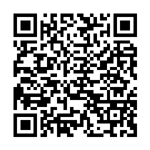Lien vers votre campagne QRCode - Collecte de fonds