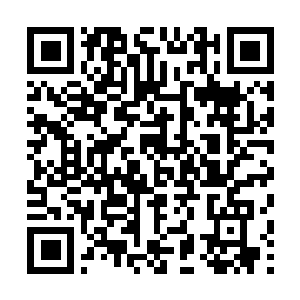 Lien vers votre campagne QRCode - Collecte de fonds