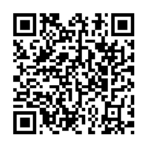 Lien vers votre campagne QRCode - Collecte de fonds
