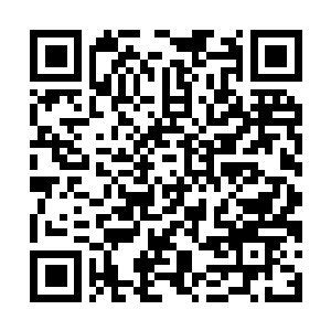Lien vers votre campagne QRCode - Collecte de fonds