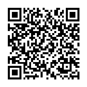 Lien vers votre campagne QRCode - Collecte de fonds