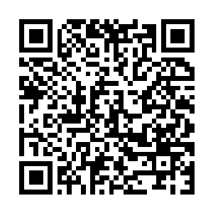 Lien vers votre campagne QRCode - Collecte de fonds