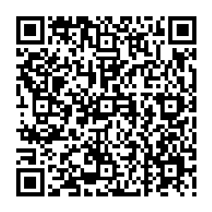 Lien vers votre campagne QRCode - Collecte de fonds