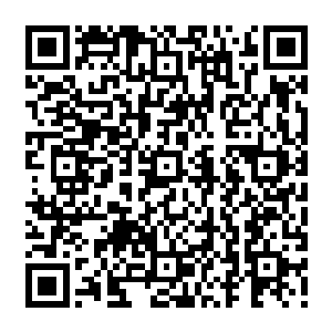 Lien vers votre campagne QRCode - Collecte de fonds