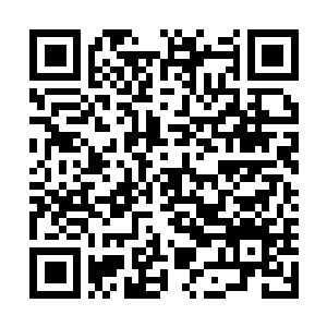 Lien vers votre campagne QRCode - Collecte de fonds