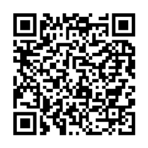 Lien vers votre campagne QRCode - Collecte de fonds