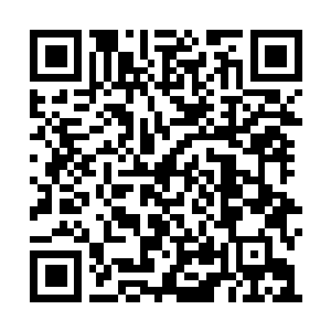 Lien vers votre campagne QRCode - Collecte de fonds