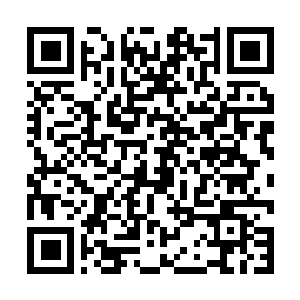 Lien vers votre campagne QRCode - Collecte de fonds
