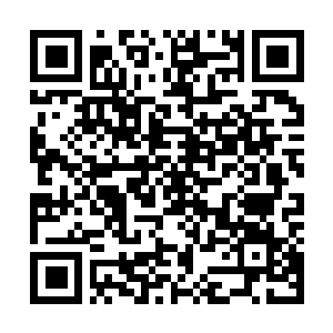 Lien vers votre campagne QRCode - Collecte de fonds