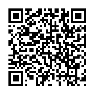 Lien vers votre campagne QRCode - Collecte de fonds
