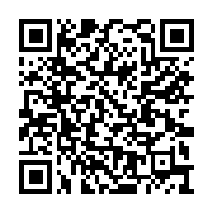 Lien vers votre campagne QRCode - Collecte de fonds
