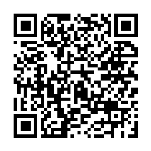 Lien vers votre campagne QRCode - Collecte de fonds