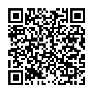 Lien vers votre campagne QRCode - Collecte de fonds