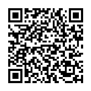 Lien vers votre campagne QRCode - Collecte de fonds