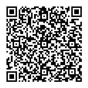 Lien vers votre campagne QRCode - Collecte de fonds