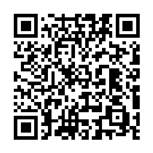 Lien vers votre campagne QRCode - Collecte de fonds