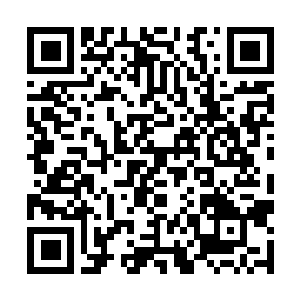 Lien vers votre campagne QRCode - Collecte de fonds