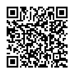 Lien vers votre campagne QRCode - Collecte de fonds