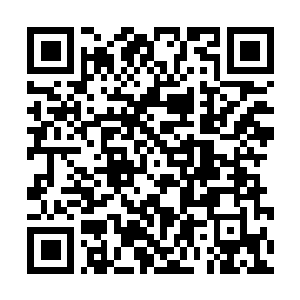 Lien vers votre campagne QRCode - Collecte de fonds