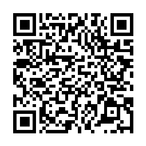 Lien vers votre campagne QRCode - Collecte de fonds