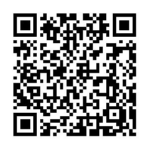 Lien vers votre campagne QRCode - Collecte de fonds