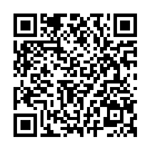 Lien vers votre campagne QRCode - Collecte de fonds