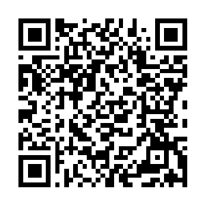 Lien vers votre campagne QRCode - Collecte de fonds