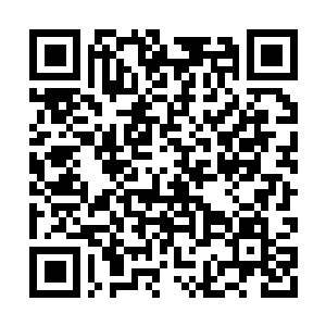Lien vers votre campagne QRCode - Collecte de fonds