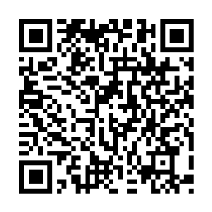 Lien vers votre campagne QRCode - Collecte de fonds