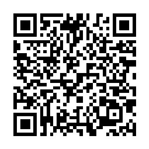 Lien vers votre campagne QRCode - Collecte de fonds