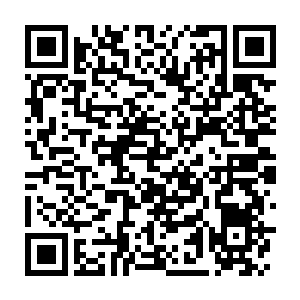 Lien vers votre campagne QRCode - Collecte de fonds