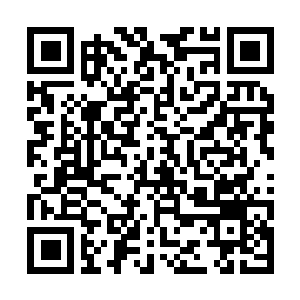 Lien vers votre campagne QRCode - Collecte de fonds
