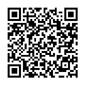 Lien vers votre campagne QRCode - Collecte de fonds