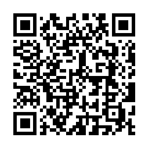 Lien vers votre campagne QRCode - Collecte de fonds