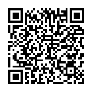 Lien vers votre campagne QRCode - Collecte de fonds