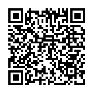 Lien vers votre campagne QRCode - Collecte de fonds