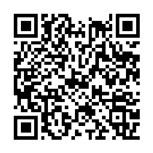 Lien vers votre campagne QRCode - Collecte de fonds