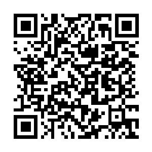 Lien vers votre campagne QRCode - Collecte de fonds