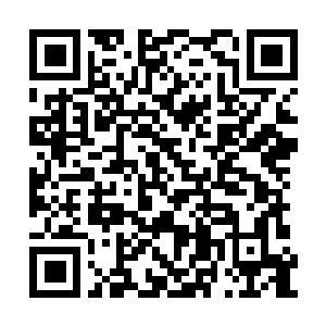 Lien vers votre campagne QRCode - Collecte de fonds