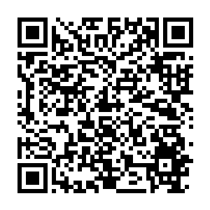 Lien vers votre campagne QRCode - Collecte de fonds