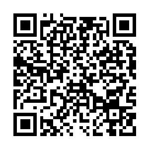 Lien vers votre campagne QRCode - Collecte de fonds
