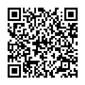 Lien vers votre campagne QRCode - Collecte de fonds