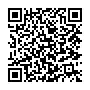 Lien vers votre campagne QRCode - Collecte de fonds