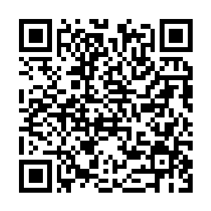 Lien vers votre campagne QRCode - Collecte de fonds