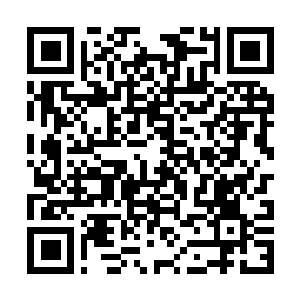 Lien vers votre campagne QRCode - Collecte de fonds