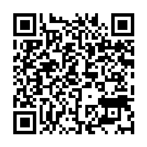 Lien vers votre campagne QRCode - Collecte de fonds