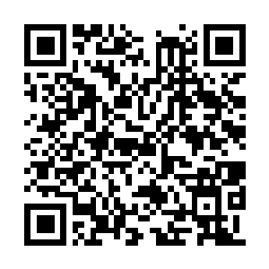Lien vers votre campagne QRCode - Collecte de fonds