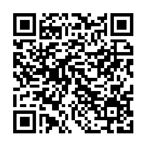 Lien vers votre campagne QRCode - Collecte de fonds