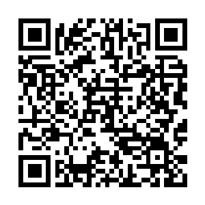 Lien vers votre campagne QRCode - Collecte de fonds